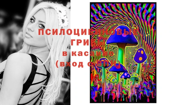 меф Дмитровск