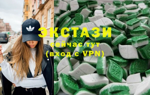 твердый Гусев