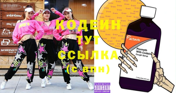 твердый Гусев