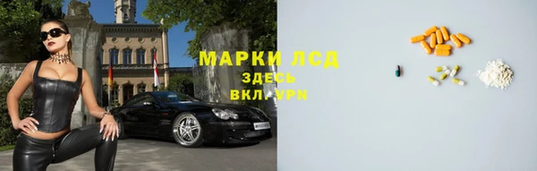 трава Гусь-Хрустальный