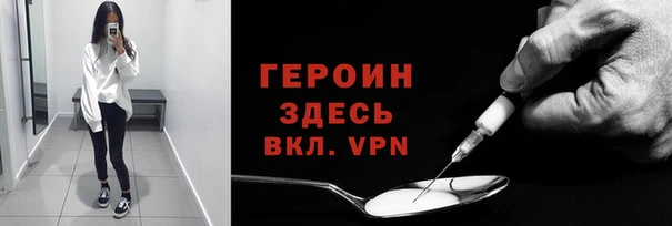 твердый Гусев