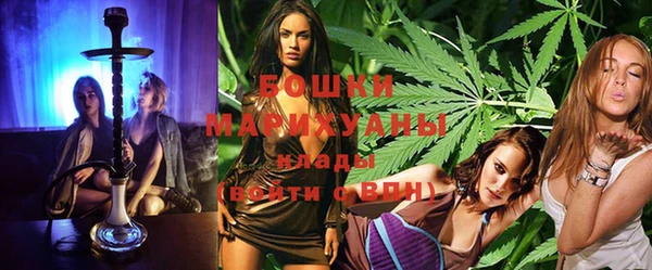 ПСИЛОЦИБИНОВЫЕ ГРИБЫ Дмитров