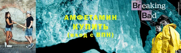 твердый Гусев
