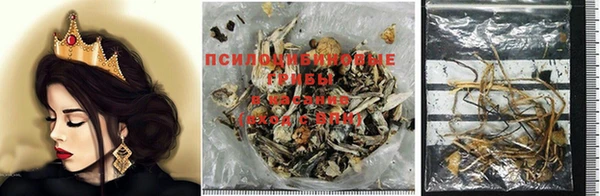 таблы Гусиноозёрск