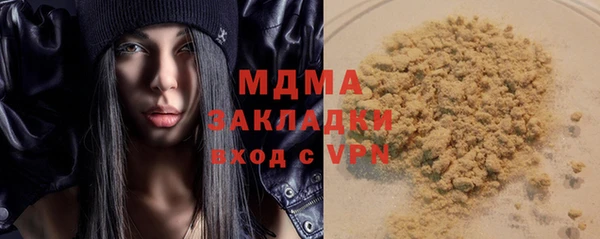 твердый Гусев
